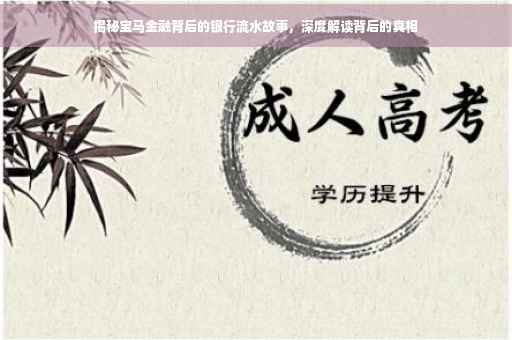 揭秘宝马金融背后的银行流水故事，深度解读背后的真相