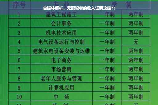 自媒体解析，无职称者的收入证明攻略??