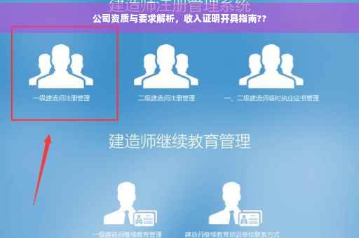 公司资质与要求解析，收入证明开具指南??