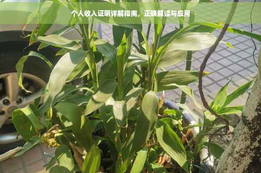 个人收入证明详解指南，正确解读与应用