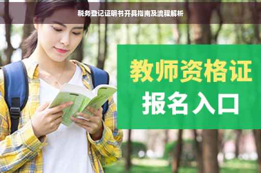 税务登记证明书开具指南及流程解析