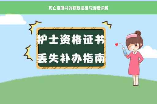 死亡证明书的获取途径与流程详解