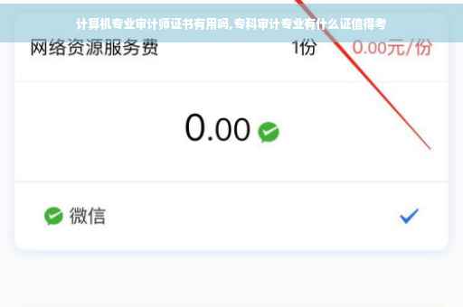 计算机专业审计师证书有用吗,专科审计专业有什么证值得考