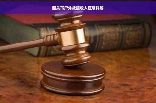 韶关市户外救援收入证明详解