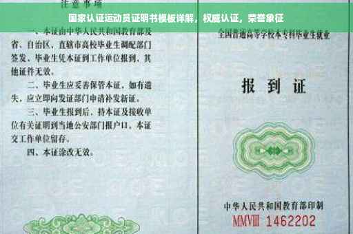 国家认证运动员证明书模板详解，权威认证，荣誉象征