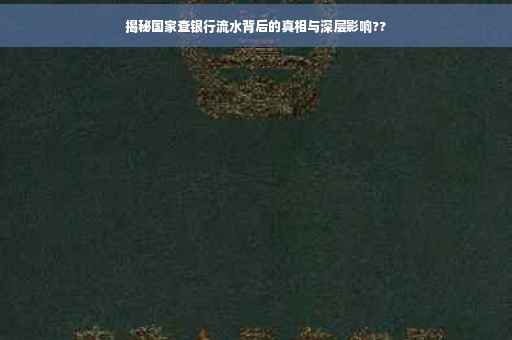 揭秘国家查银行流水背后的真相与深层影响??