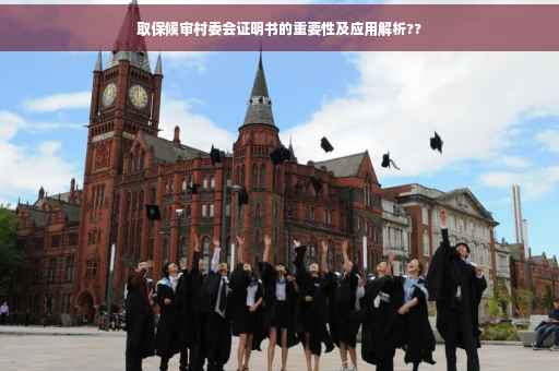 取保候审村委会证明书的重要性及应用解析??