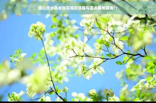 银行流水账单撰写规范详解与要点解析指南??