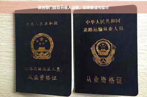 政府部门能否开收入证明，深度解读与探讨