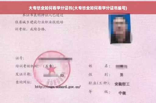 大专毕业如何看学分证书(大专毕业如何看学分证书编号)