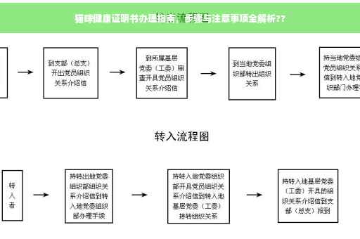 猫咪健康证明书办理指南，步骤与注意事项全解析??