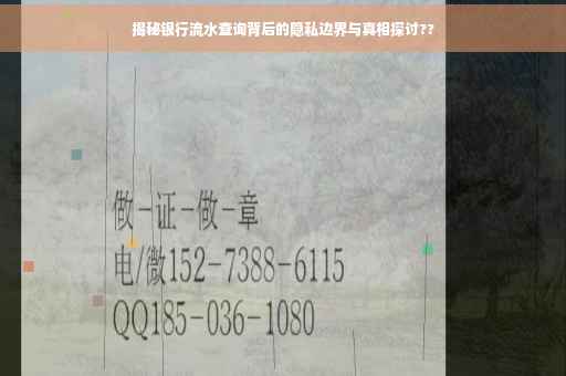 揭秘银行流水查询背后的隐私边界与真相探讨??