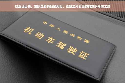 毕业证丢失，求职之路仍畅通无阻，希望之光照亮你的求职指南之路