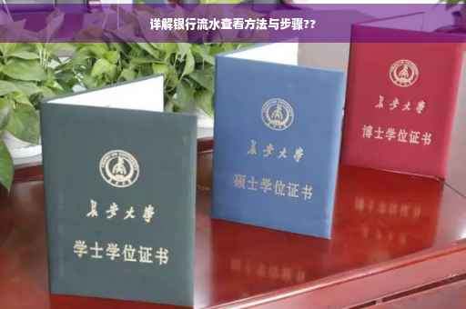 详解银行流水查看方法与步骤??