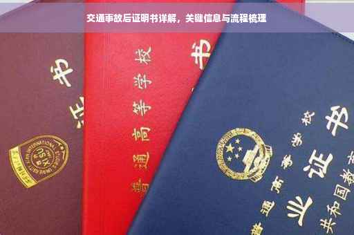交通事故后证明书详解，关键信息与流程梳理