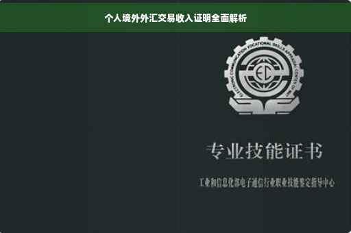 个人境外外汇交易收入证明全面解析
