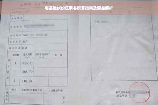 宅基地纠纷证明书撰写指南及要点解析