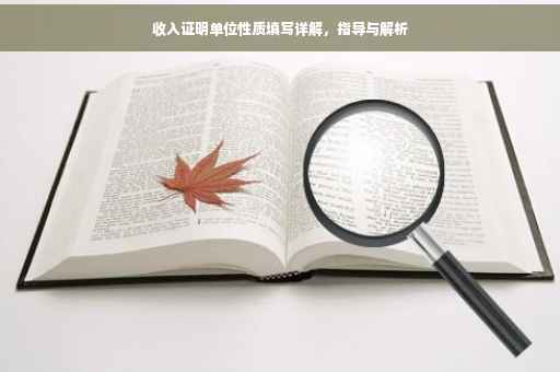 收入证明单位性质填写详解，指导与解析