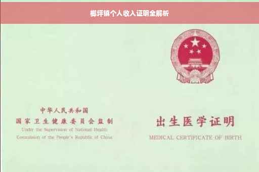 榔坪镇个人收入证明全解析