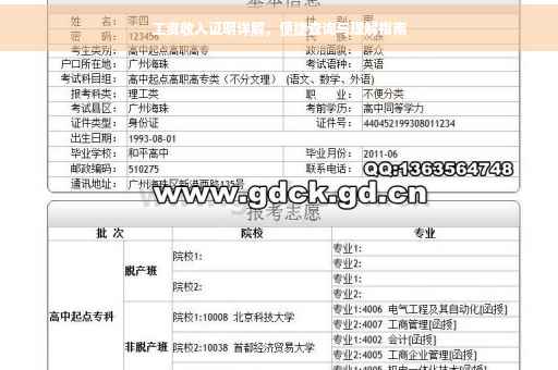 工资收入证明详解，便捷查询与理解指南