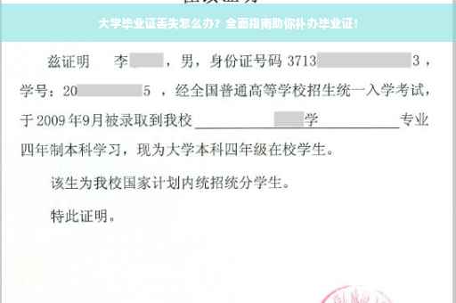 大学毕业证丢失怎么办？全面指南助你补办毕业证！