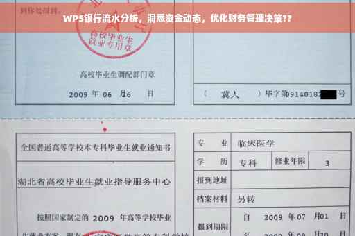 WPS银行流水分析，洞悉资金动态，优化财务管理决策??