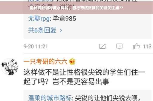 揭秘贷款银行流水详解，银行审核贷款的关键关注点??