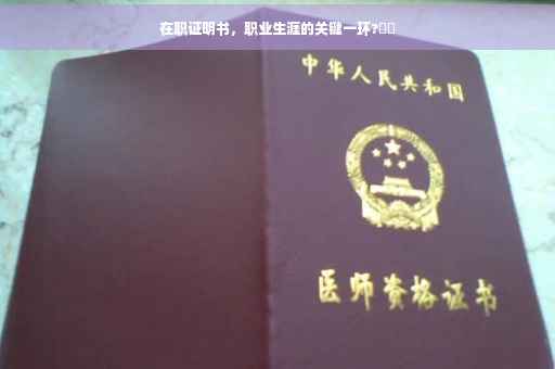 在职证明书，职业生涯的关键一环?⚡️