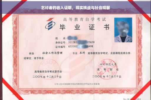 乞讨者的收入证明，现实挑战与社会观察