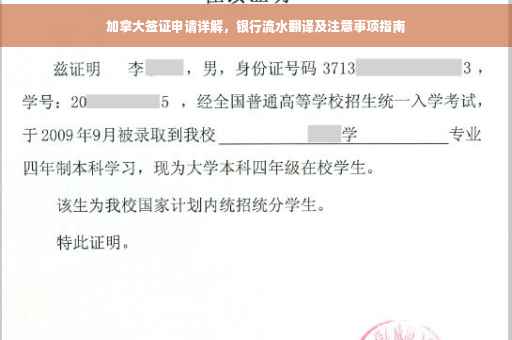 加拿大签证申请详解，银行流水翻译及注意事项指南