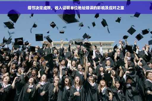 细节决定成败，收入证明单位地址错误的影响及应对之策