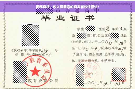 揭秘真相，收入证明章的真实有效性探讨！