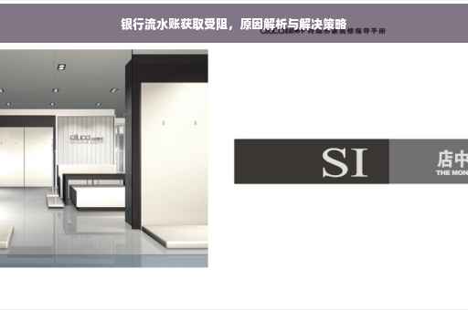 银行流水账获取受阻，原因解析与解决策略