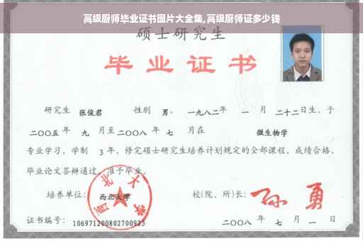 高级厨师毕业证书图片大全集,高级厨师证多少钱