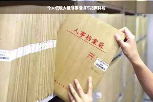 个人低收入证明表格填写指南详解