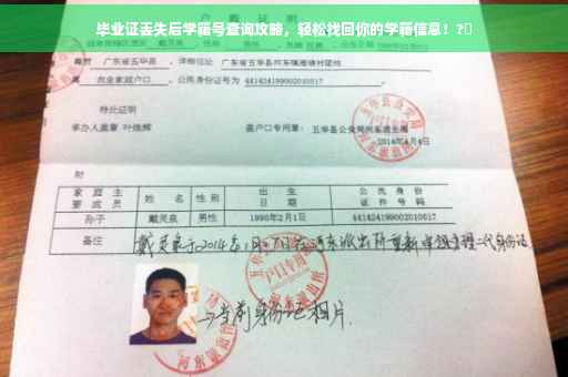 毕业证丢失后学籍号查询攻略，轻松找回你的学籍信息！?✨