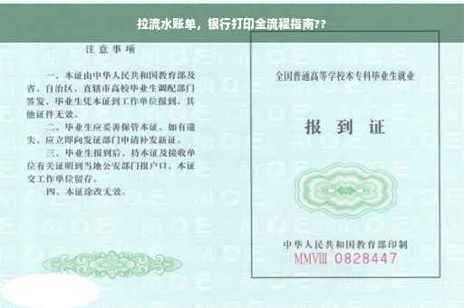 拉流水账单，银行打印全流程指南??