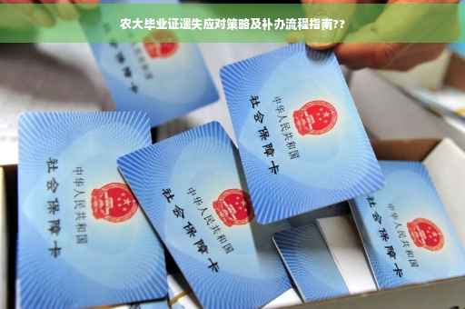 农大毕业证遗失应对策略及补办流程指南??