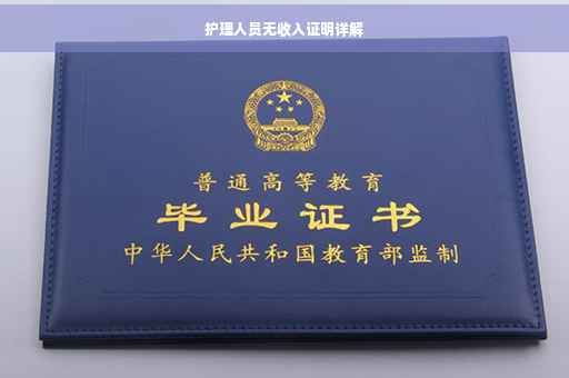 护理人员无收入证明详解