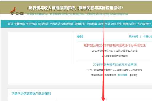 抚养费与收入证明深度解析，概念关联与实际应用探讨?