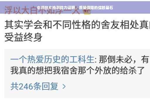 中药饮片检测能力证明，质量保障的信赖基石