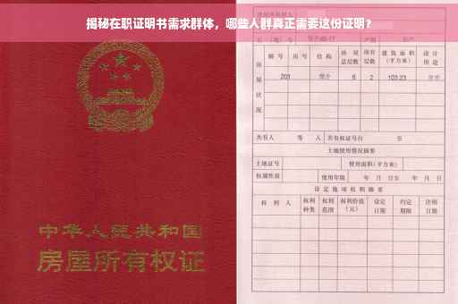 揭秘在职证明书需求群体，哪些人群真正需要这份证明？
