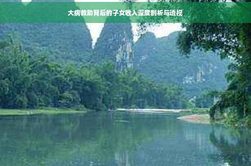 大病救助背后的子女收入深度剖析与透视