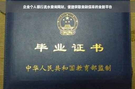 企业个人银行流水查询网站，便捷获取金融信息的全新平台