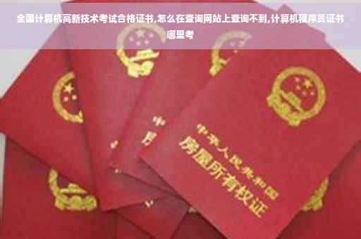全国计算机高新技术考试合格证书,怎么在查询网站上查询不到,计算机程序员证书哪里考