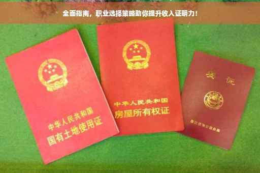 全面指南，职业选择策略助你提升收入证明力！