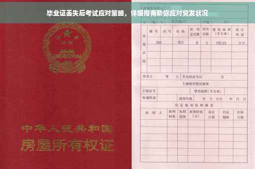 毕业证丢失后考试应对策略，详细指南助你应对突发状况