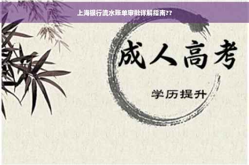 上海银行流水账单审批详解指南??