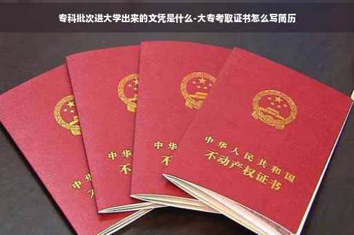专科批次进大学出来的文凭是什么-大专考取证书怎么写简历