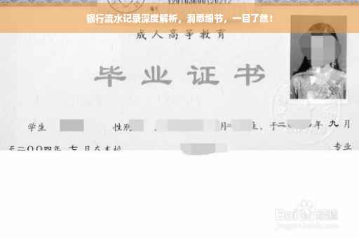 银行流水记录深度解析，洞悉细节，一目了然！